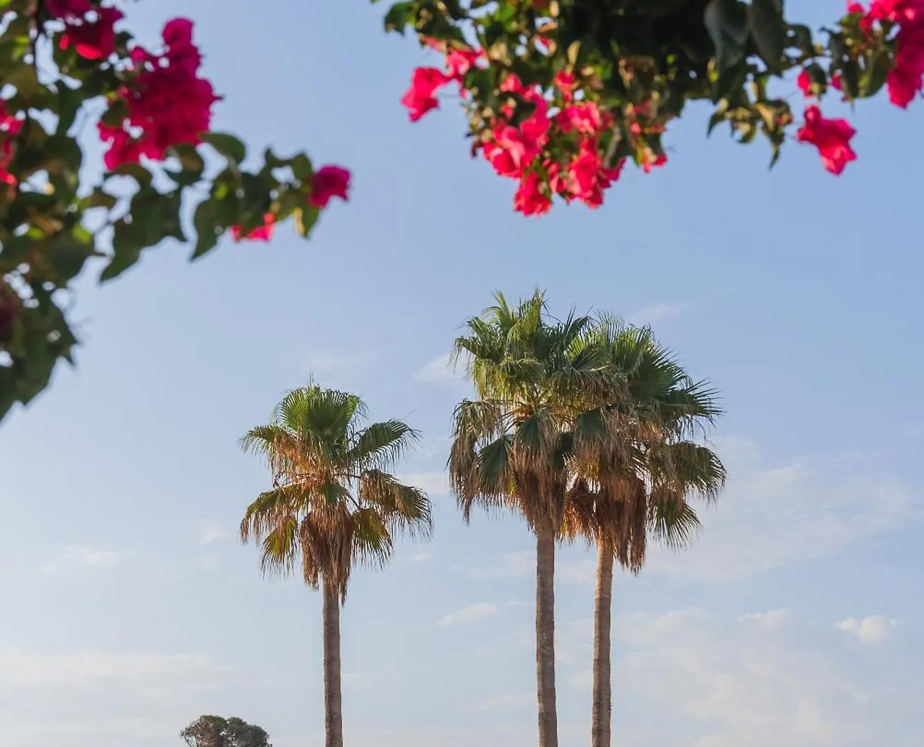 Son Baulo Ξενοδοχείο Can Picafort  3*, Can Picafort (Mallorca)